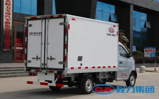 Dayun 4X2 1 Ton New Energy Electric Freezer Van Refrigerator Truck