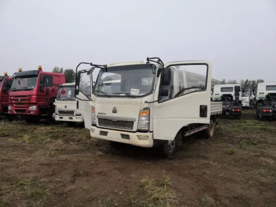 2022 2023 New HOWO 4X2 130HP 160HP Cummins Yuchai Engine Cargo Truck Euro2 Euro3 Van Fence Flat Boardlight Truck with Left and Right Hand for Sale